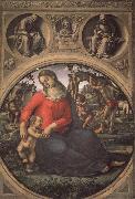 Luca Signorelli Madonna and Child with Prophets china oil painting reproduction
